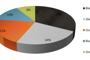 Black/Dark Grey Nokia N8 Most popular colour choice (so far)