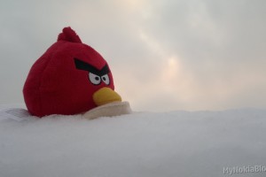 Gallery: The Real Angry Birds Seasons – Angry Bird Plush Toy out in the snow (by Nokia N8)