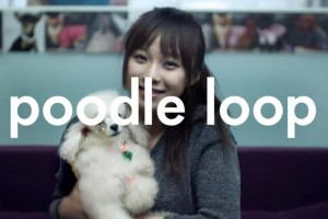 Video: Poodle Loop with the New Nokia Music Loop App (Must have app! So much fun – get from the Ovi Store today)