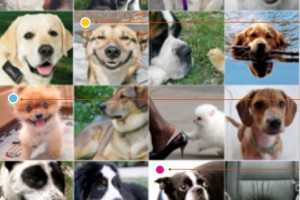 (Tablet?) MeeGo Touch UI. More Screenshots – MeeGo looking Great! 1366×768