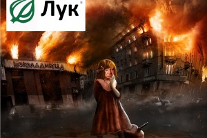 Eldar: No sign Windows Phone will be popular, Nokia working on Android, Elop leaves 2011-early 2012