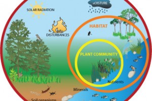 Nokia’s Entry to Windows Phone won’t scare HTC away, but to their benefit