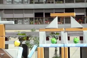 Video: Real Life Angry Birds!