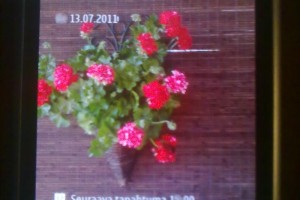 Symbian Belle again on E7?