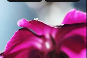 Video: Symbian Belle like homescreen for S60 5th Edition