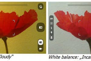 The Nokia N9 and Teaching Physics