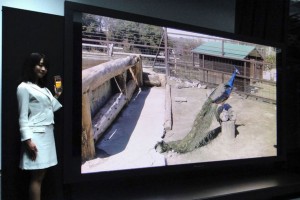 Accessories: Nokia 808 PureView Picture Frame, + Could 4K video recording be possible by 808?