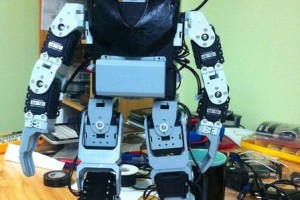 Actual Robot with Nokia N900 as a head.