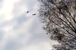 Recap 2: Nokia 808 PureView, sans Sony Vegas induced Ghosting.