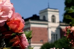 topolino70’s Flowers of Arboretum and more Nokia 808 PureView user submissions