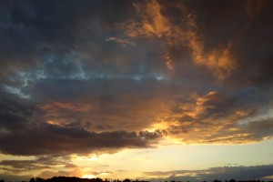 Chippy on the Nokia PureViews, 808 and 920. Could 920 produce better pictures most of the time?