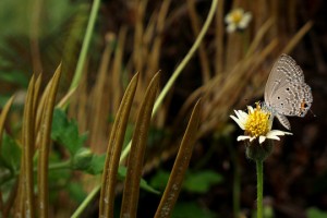 Weekend Look: Nokia 808 PureView and Nokia N8 shot flickr Gallery