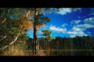 Video: Epic Nokia 808 PureView cinematic style with Christopher Westerholm