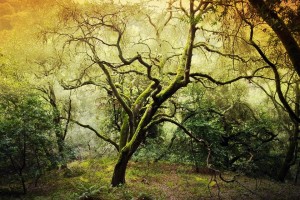 Pretty Nokia Lumia 920 sample gallery