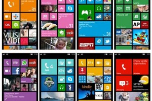 Director, Windows Phone Business Group, Vineet Durani Interviewed