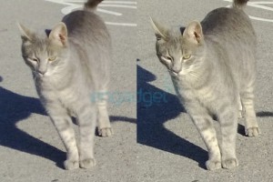 PR1.1 update for Nokia Lumia 920 includes camera fix – solves ‘fuzzy’ daylight pics