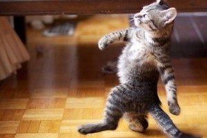 New Nokia Lumia Launching Today :D (In a few hours) #Catwalk #925 London, 10AM GMT