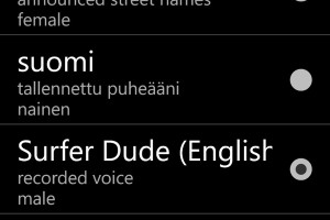 Nokia Drive Gem – Surfer Dude voice. Speaking of which….Bring back Own Voice