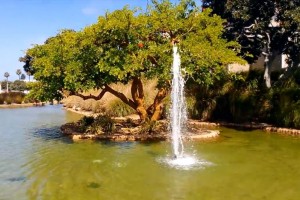 Video: Nokia Lumia 928 1080p/OIS test and day photos