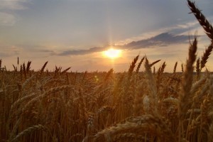 Beautiful Nokia Lumia 928 photos – Michigan