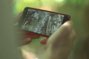 Video: Nokia Lumia 625 promo featuring ‘Grass House’