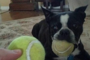 Someone give Tim Cook some new glasses: Says Nokia ‘died’ because they didn’t innovate