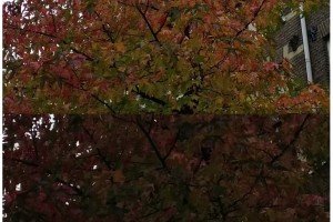 Nokia Lumia 1020 – made to capture the moments that matter (1020 vs Google Nexus 5)