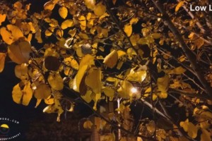 Video: Even smoother stabilisation on the Nokia Lumia 1520 OIS – low light sample