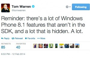WP8.1 coming with a lot more features than those seen in SDK. A lot!