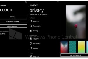 Whatsapp background and privacy control features: