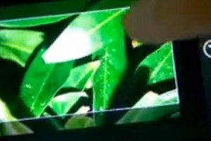 Video: WP8.1 tile screen shows Parallax Background, not static images