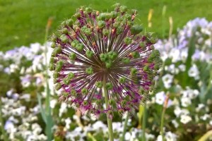 Nokia Lumia 930 sample videos #OIS