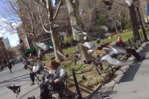 Video: Living Moments – Lumia Arc of Wonder – #LumiaMoments