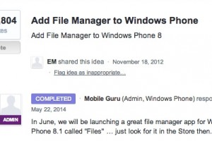 “Great” WP File Manager, ‘Files’ coming to the Store in June.
