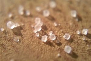 Laser Pointer DIY  Super Macro with Nokia Lumia 520