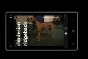 Video: Microsoft Research demoes real life PokÃ©dex on Windows Phone with Project Adam #Cortana